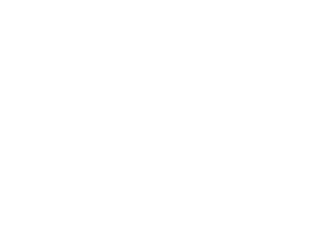 Logo Grupo Inexo (negativo)